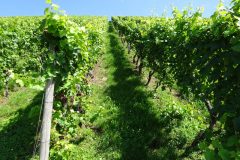 3. Etappe nach Freudenstein