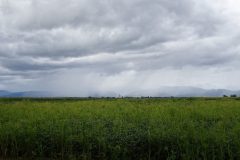 Regenwetter bei Colmar
