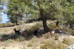 An der Autobahn nach Marseille
